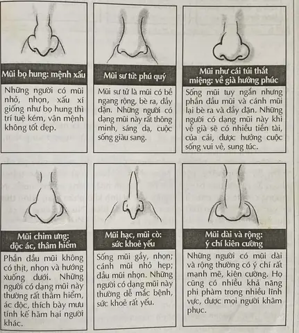 Tướng Mũi Làm Quan Tướng Mũi Làm Quan