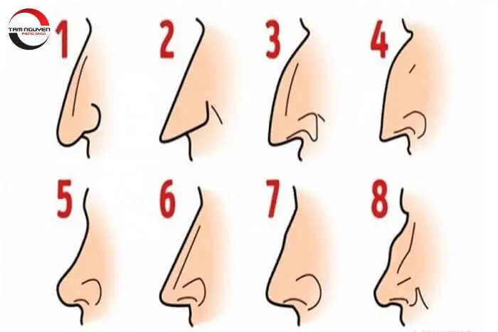 Tướng Mũi Tê Giác