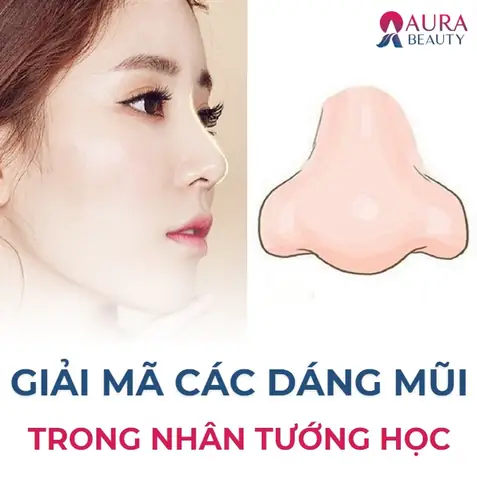 Tướng Mũi To Tròn Tướng Mũi To Tròn