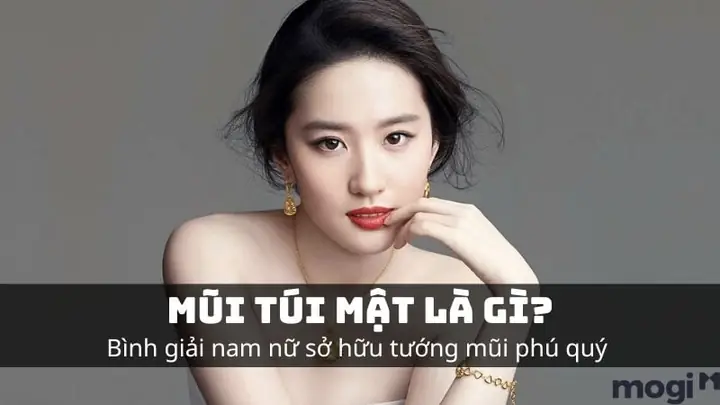 Tướng Mũi Túi Mật Treo Tướng Mũi Túi Mật Treo
