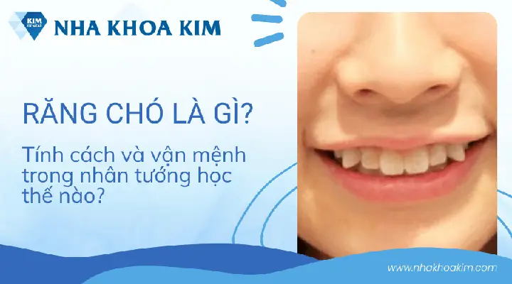 Tướng Răng Tính Cách Tướng Răng Tính Cách