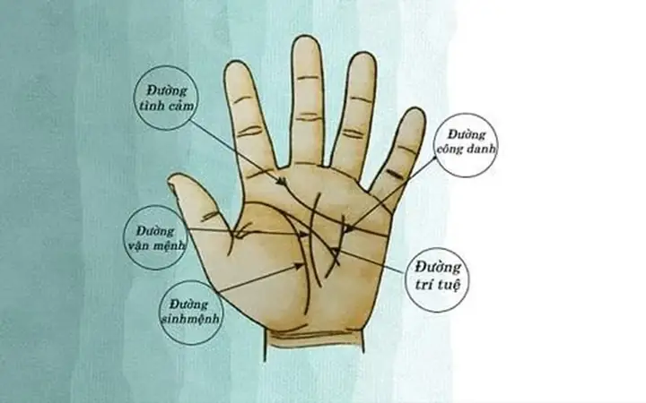 Tướng Số Bàn Tay Đàn Ông Tướng Số Bàn Tay Đàn Ông