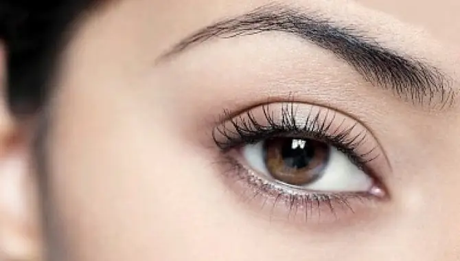 Tướng Số Chân Mày Tướng Số Chân Mày