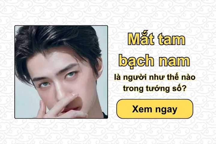 Tướng Số Chân Người Tướng Số Chân Người