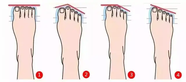 Tướng Số Chân Người Tướng Số Chân Người