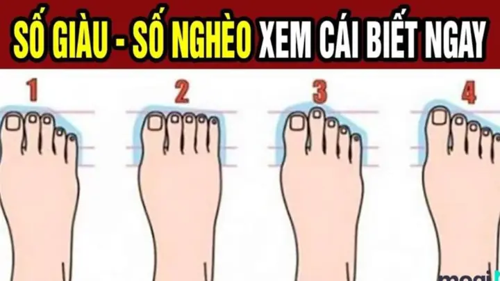 Tướng Số Chân Người Tướng Số Chân Người