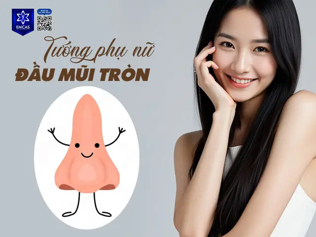 Tướng Số Đầu Mũi Tròn Sống Nhiều Xương Tướng Số Đầu Mũi Tròn Sống Nhiều Xương