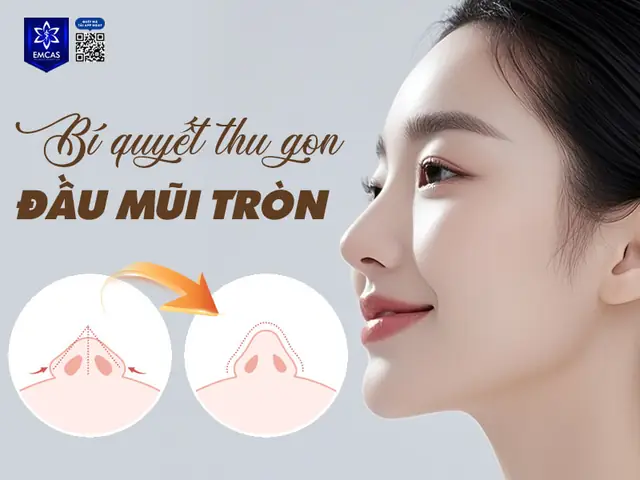 Tướng Số Đầu Mũi Tròn Sống Nhiều Xương Tướng Số Đầu Mũi Tròn Sống Nhiều Xương