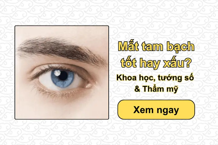 Tướng Số Khoa Học Tướng Số Khoa Học