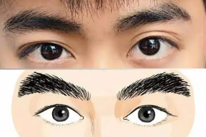 Tướng Số Lông Mày Đàn Ông