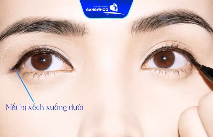 Tướng Số Phụ Nữ Mắt Xếch Tướng Số Phụ Nữ Mắt Xếch