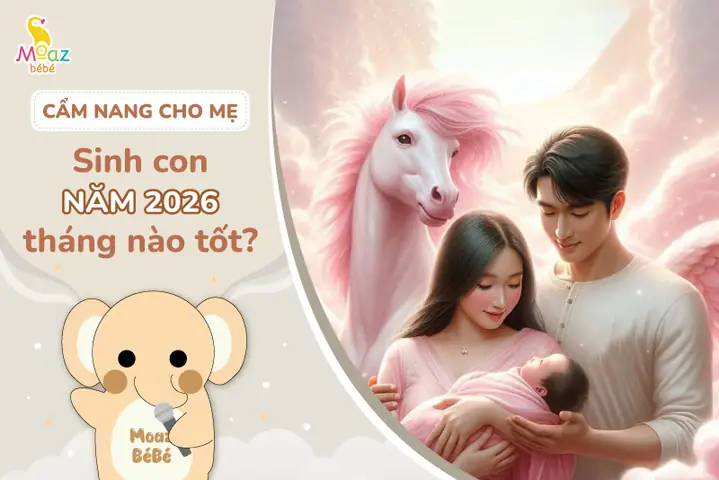 Tướng Số Sinh Năm 2019 Tháng Nào Tốt