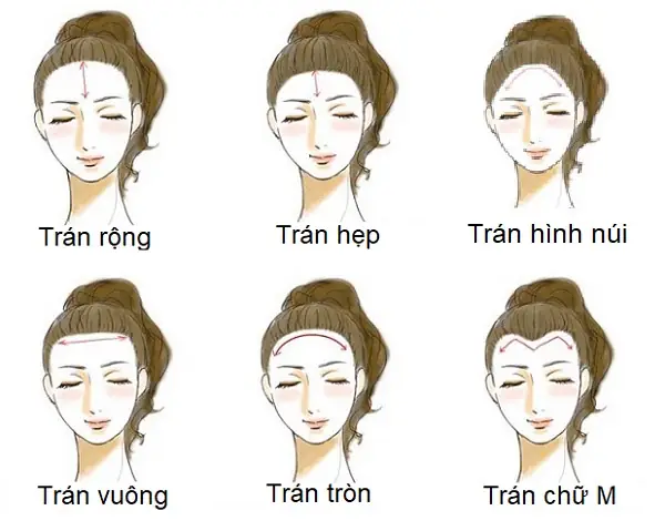 Tướng Số Trán Rộng Tướng Số Trán Rộng