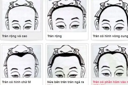 Tướng Số Trán Rộng Tướng Số Trán Rộng