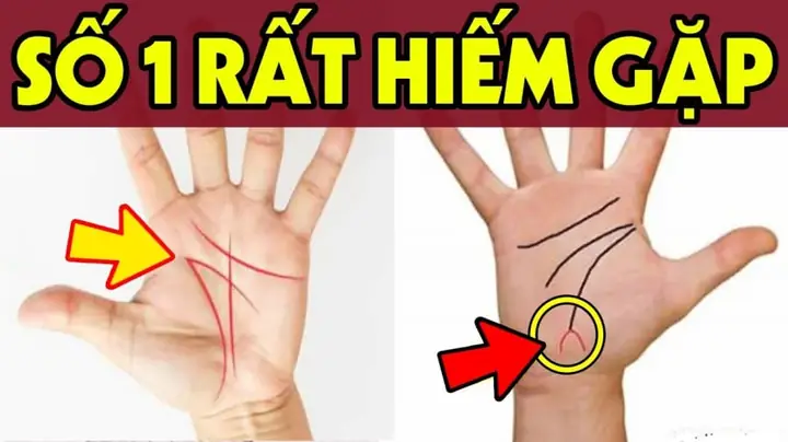 Tướng Tay Đặc Biệt Của Người Giàu Sang Tướng Tay Đặc Biệt Của Người Giàu Sang