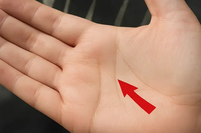 Tướng Tay Đặc Biệt Của Người Giàu Sang Tướng Tay Đặc Biệt Của Người Giàu Sang