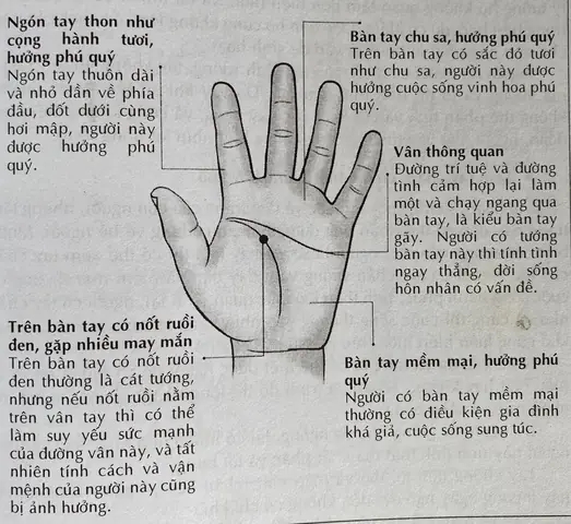 Tướng Tay Phú Quý Tướng Tay Phú Quý