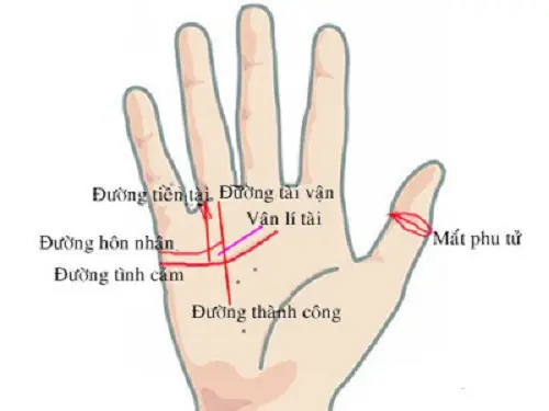 Tướng Tay Phú Quý Tướng Tay Phú Quý