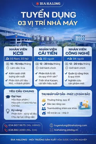 Tuyển Dụng Hạ Long Tuyển Dụng Hạ Long