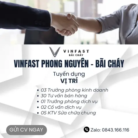 Tuyển Dụng Hạ Long Tuyển Dụng Hạ Long