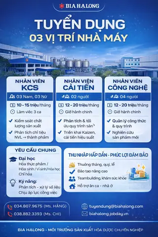 Tuyển Dụng Hạ Long Tuyển Dụng Hạ Long