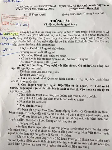 Tuyển Dụng Hạ Long Tuyển Dụng Hạ Long