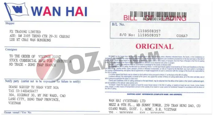 Vận Đơn Là Gì Vận Đơn Là Gì