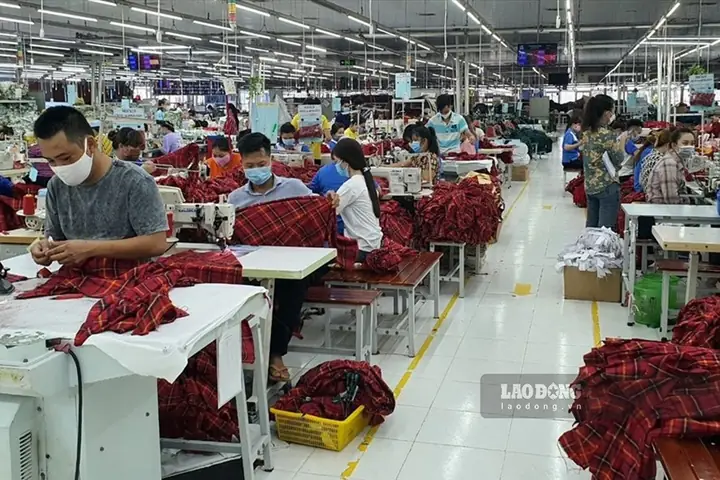 Việc Làm Bạc Liêu Việc Làm Bạc Liêu