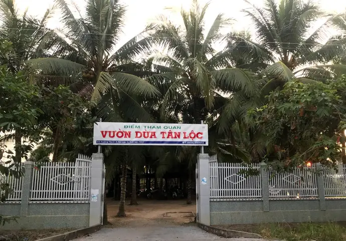 Vườn Dừa Tân Lộc Vườn Dừa Tân Lộc