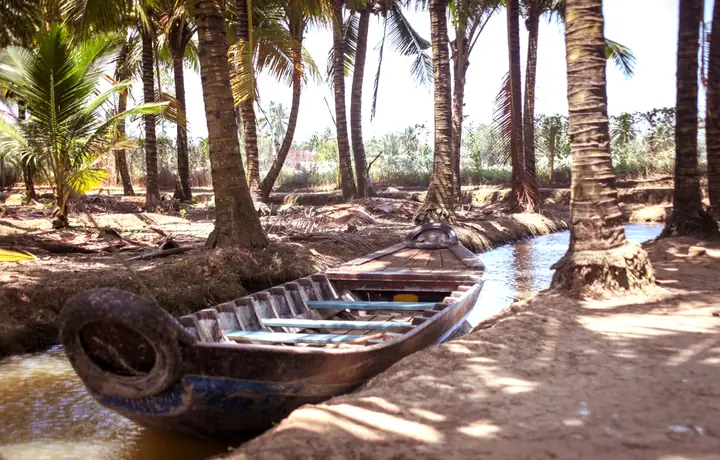 Vườn Dừa Tân Lộc Vườn Dừa Tân Lộc