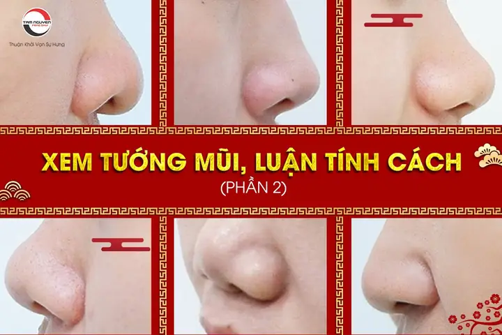 Xem Bói Tướng Mũi Xem Bói Tướng Mũi