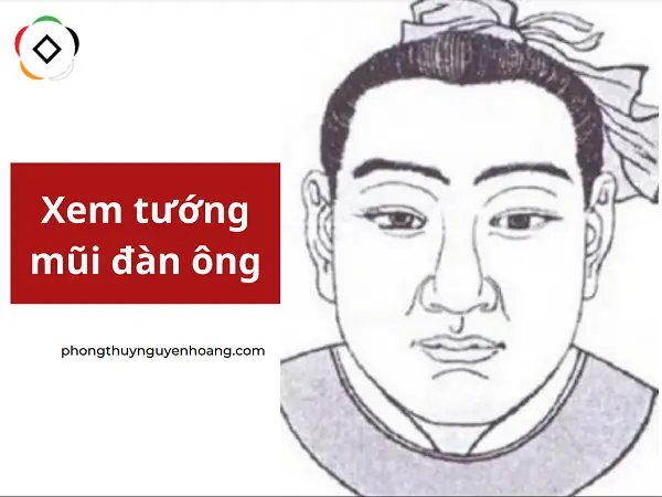 Xem Giàu Nghèo Xem Tướng Mũi Xem Giàu Nghèo Xem Tướng Mũi
