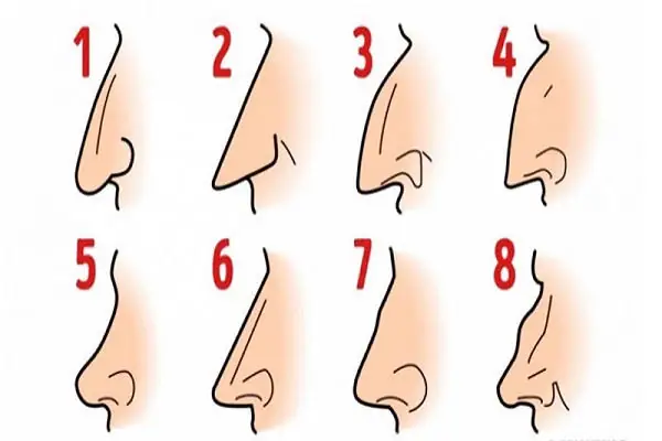 Xem Giàu Nghèo Xem Tướng Mũi Xem Giàu Nghèo Xem Tướng Mũi