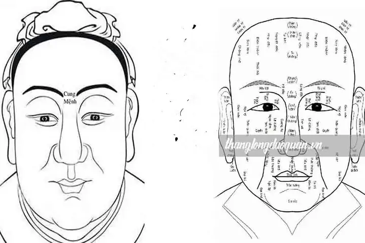 Xem Tử Vi Và Tướng Số Xem Tử Vi Và Tướng Số