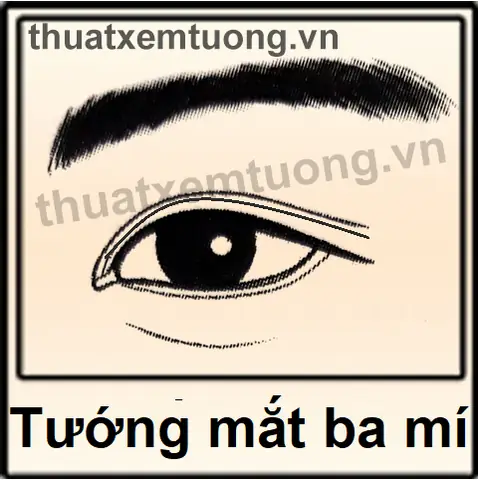 Xem Tướng Mắt 3 Mí Xem Tướng Mắt 3 Mí