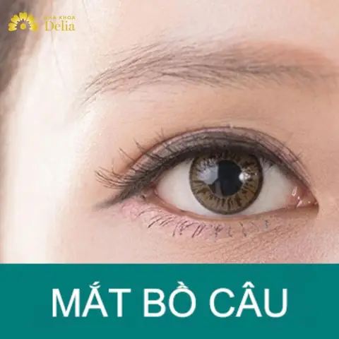 Xem Tướng Mắt Có Đồng Tử Nhỏ