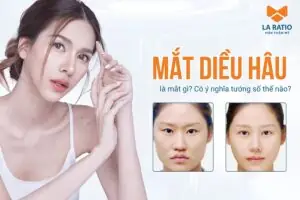Xem Tướng Mắt Diều Hâu Xem Tướng Mắt Diều Hâu