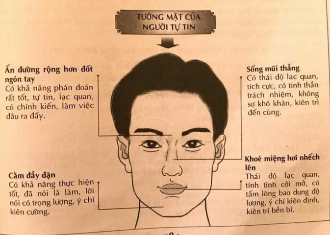 Xem Tướng Mắt Diều Hâu Xem Tướng Mắt Diều Hâu