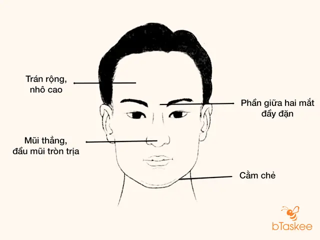Xem Tướng Mặt Nam Xem Tướng Mặt Nam