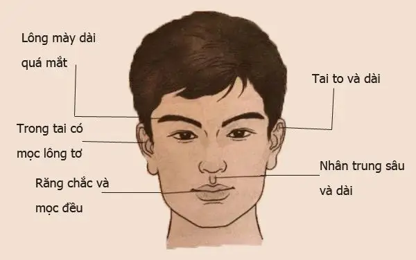 Xem Tướng Mặt Nam Xem Tướng Mặt Nam