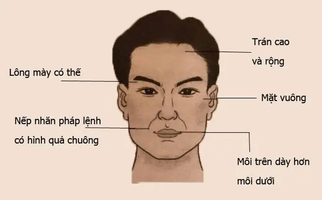 Xem Tướng Mặt Nam Giới