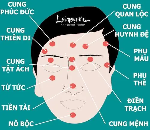 Xem Tướng Mặt Phu Thê Xem Tướng Mặt Phu Thê