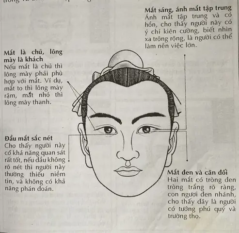 Xem Tướng Mắt Toàn Lòng Đen Xem Tướng Mắt Toàn Lòng Đen