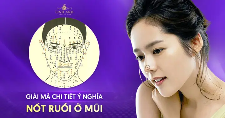 Xem Tướng Mũi Các Khu Vực Trên Mũi