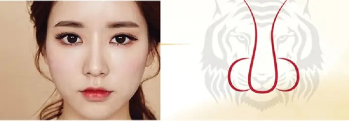 Xem Tướng Mũi Hổ