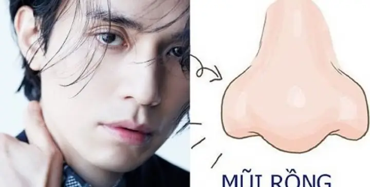 Xem Tướng Mũi Kỳ Lân Xem Tướng Mũi Kỳ Lân