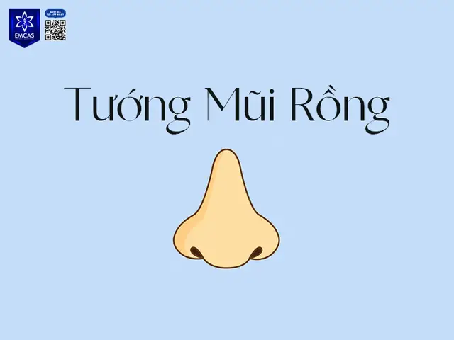 Xem Tướng Mũi Rồng Xem Tướng Mũi Rồng