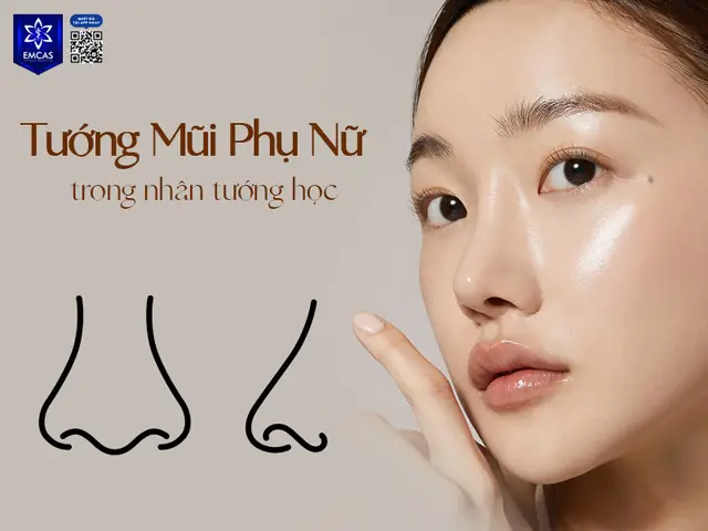 Xem Tướng Mũi Trẻ Con Xem Tướng Mũi Trẻ Con