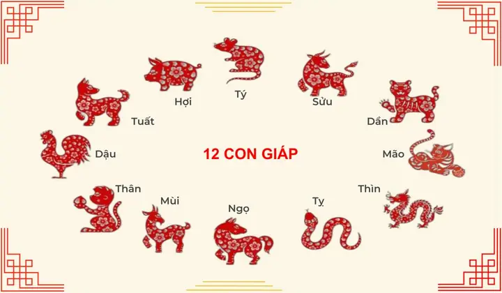 Xem Tướng Số 12 Con Giáp Xem Tướng Số 12 Con Giáp