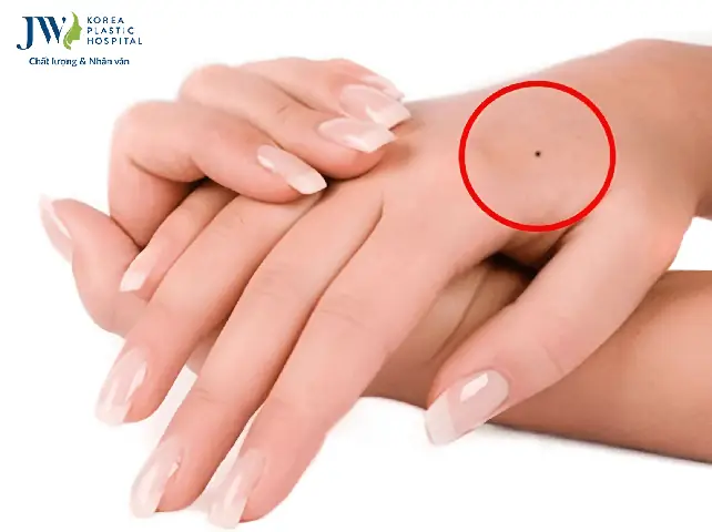 Xem Tướng Số Qua Bàn Tay Xem Tướng Số Qua Bàn Tay